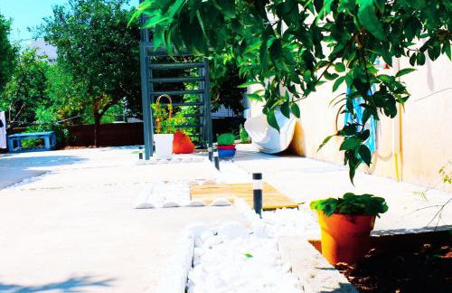 Anemoss Saranti - Photo 10