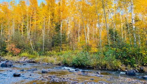 Gooseberry Trailside Suites by Heirloom Boutique Collection - Foto 2