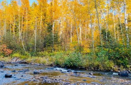 Gooseberry Trailside Suites by Heirloom Boutique Collection - Foto 2