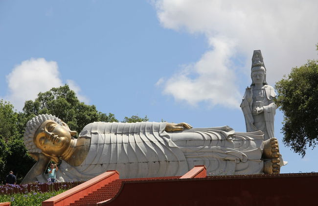 Terra Luso - Foto 55