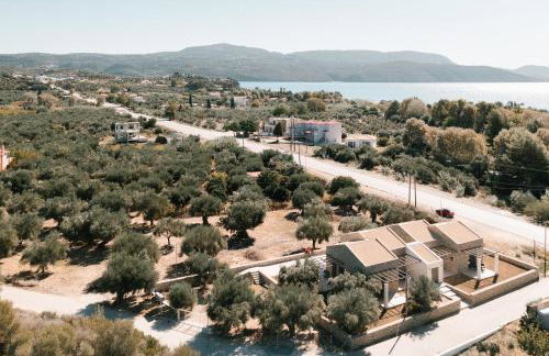 PETRINO FOINIKOUNTA - Foto 19