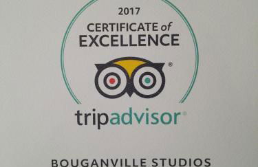 Bouganville Studios Stegna - Foto 11