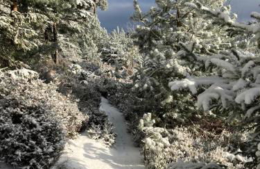 Le printemps, gîte nature - Foto 6