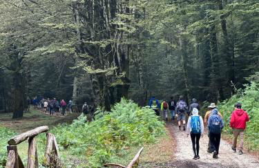 Il Vico holiday home - Foto 21