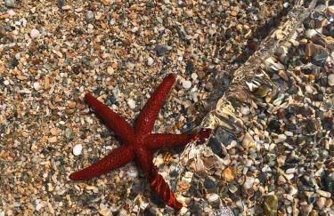 Seaview 2nd flr. apt. next to the beach, wifi,a/c,p/c media. - Foto 17