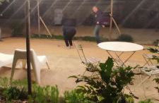 le gîte de Montagnac - Foto 36