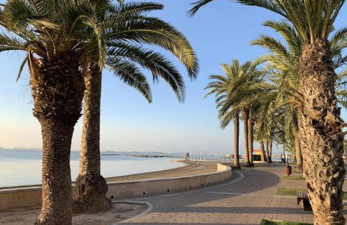 Barnuevo 3 - Foto 20