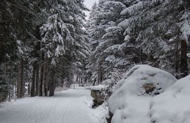 Casa Shabby - Comfortable family apartment near the slopes - Confortevole appartamento per famiglie vicino alle piste - Foto 64