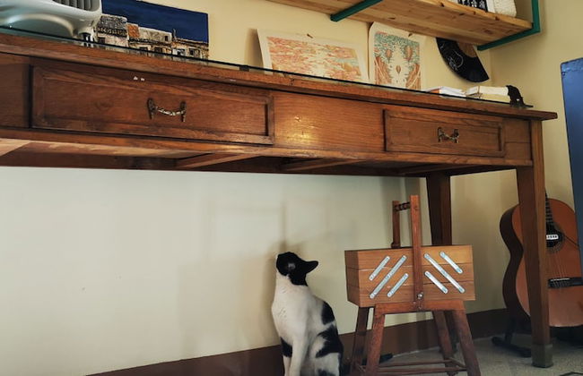 Artisan Maison - Photo 30