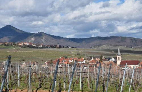 Gîtes Marschall Jean-Pierre - Foto 34