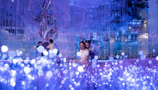 Interact with the exhibitions