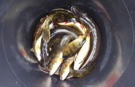 Gut-Rattelvitz-Galerie-D-hochwertig-Sauna-Kamin-eTankstelle-Spielscheune-15-000qm-Parkland - Photo 34