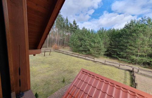 LEŚNY KĄCIK - Foto 48