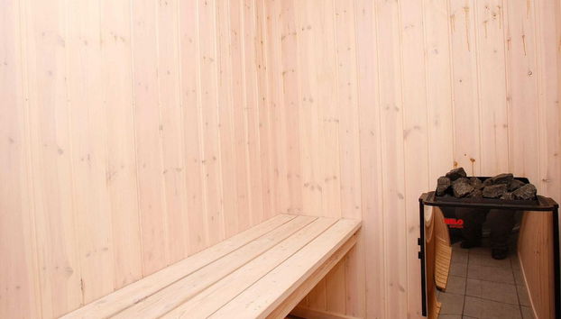 10 Person Holiday Home in Albaek - Foto 2, Sauna