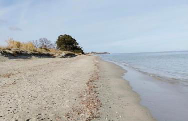 Appartement avec jardin piscine et plage 100 m - Foto 6