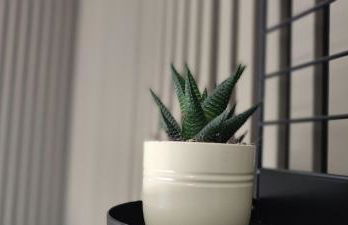 Studio rénové Nancy Brabois, proche CHRU campus - Foto 7