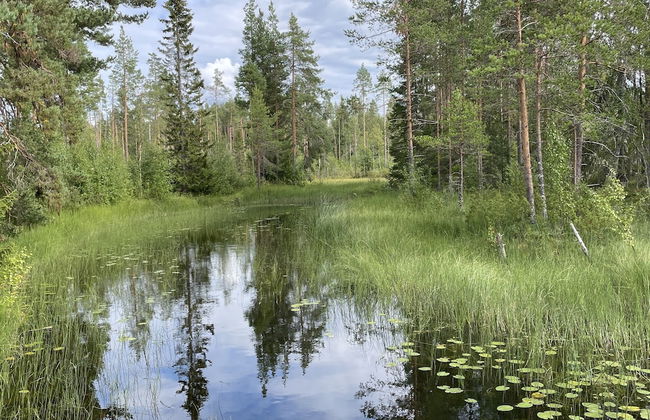 Hus Hotell Hunge AB - Foto 30