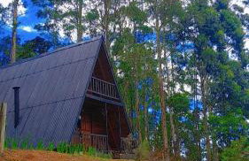 Chalé da Mantiqueira SFX , Pet friendly - Foto 7