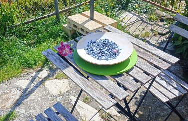 Casetta nel Podere di Massi - Foto 34