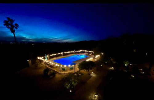 Serenity Oasis Estate - Photo 57