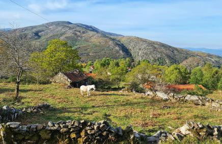 Cardenha da Bessada - Foto 28