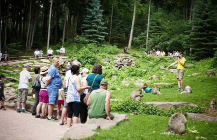 Appartement proche gare - Foto 23