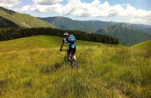 Casa Hydrangea con piscina e giardino - Foto 75
