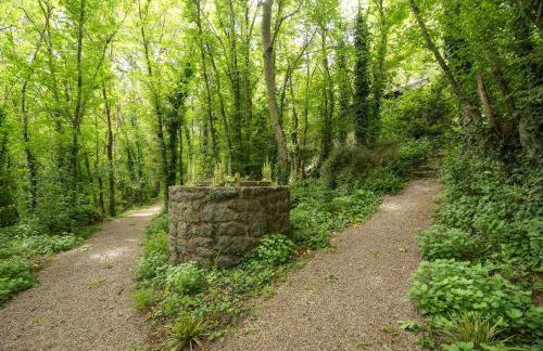 Gite Petite Chaumière-La Corne d'Or - Foto 20