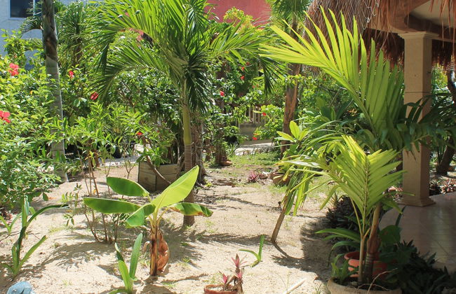 Hotel Cabañas Maria del Mar - Foto 19