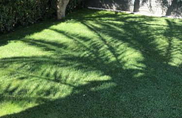 Rispescia Casa Vacanze Grosseto - Foto 22