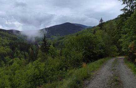 Apartamenty Kletno - Foto 39