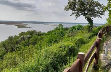 Apartamenty Pod Debem (Ferienwohnungen an der uralten Eiche) - Foto 21