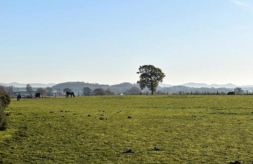 Petronella - Foto 26