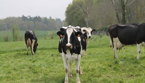 Maison bord de mer - Foto 4