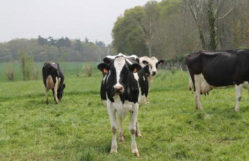 Maison bord de mer - Foto 4