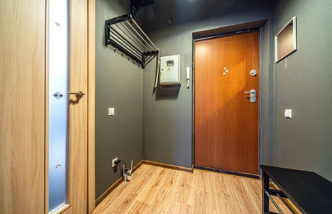 Loft Petrograd Apartment 2 - Foto 13