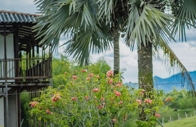 Hacienda Araucaria Habitacion 10 - Photo 5