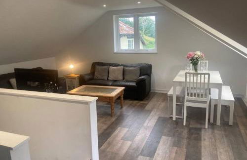 Ruby's Retreat! Farm Stay! North devon! Sleeps 6! Beaches Exmoor! - Foto 39