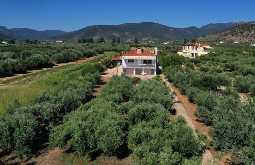 Villa of luxury and serenity - Photo 12