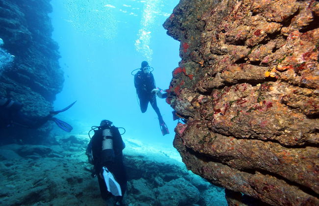 Vivian Studios - Foto 25