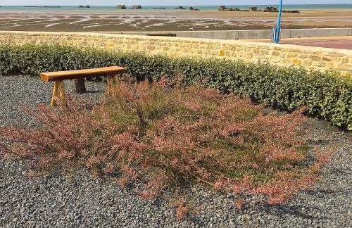 Villa lumineuse en front de mer - Gold Beach - Foto 7