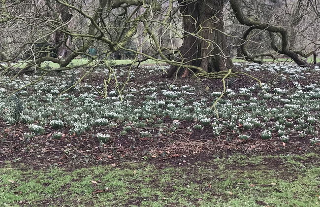 Bridge Farm Holiday Cottages - Foto 57