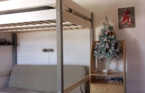 Un Isard au Pied des Pistes - Foto 18