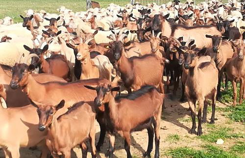 Agriturismo Torrevecchia - Foto 56