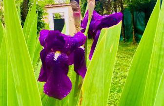 Appartement Indépendant avec jardin, entrée autonome par boîte à clé , Self-Check-In - Foto 20
