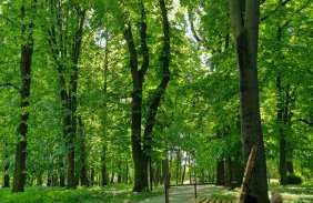 Apartament przy Parku Saskim (600 metrów od Ratusza) - Foto 41