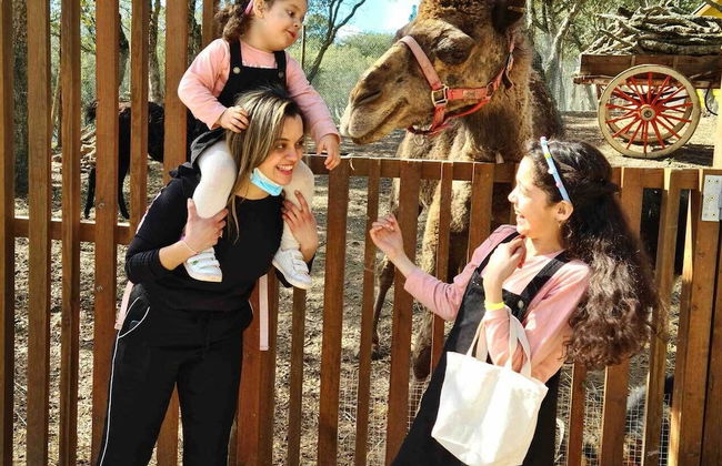 Natura Fun House & Camping - Foto 31