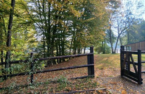 Gite des étangs de Saint Bale - Foto 58