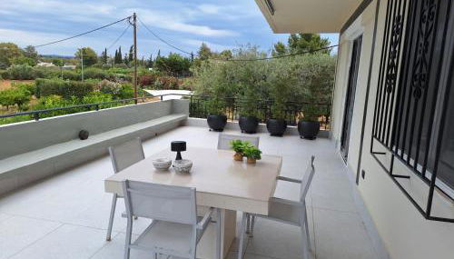 Orange Tree - Photo 4