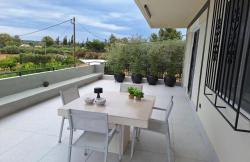 Orange Tree - Foto 4